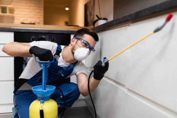 Best Emergency Pest Control  in Clyde, NC