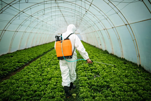 Best Best Pest Control Companies  in Clyde, NC