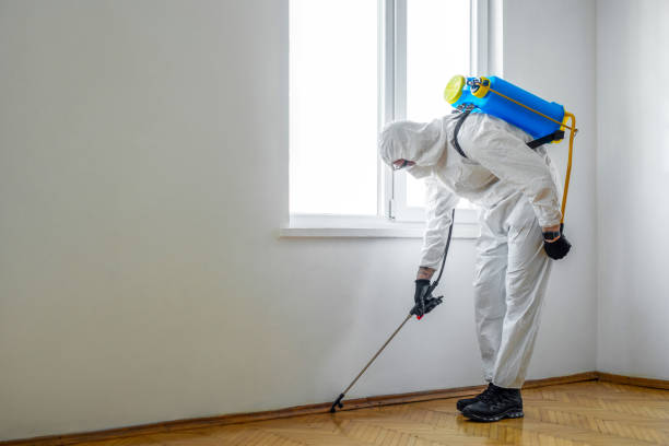 Best Pest Control for Restaurants  in Clyde, NC