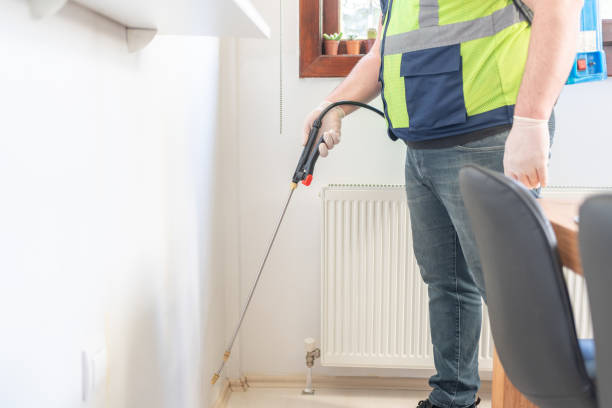 Best Wasp Removal Services  in Clyde, NC