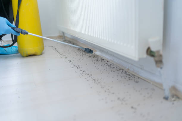 Best Residential Pest Control  in Clyde, NC