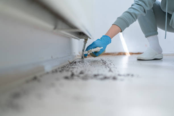 Best Wildlife Control Services  in Clyde, NC