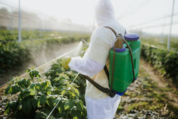Wildlife Control Services in Clyde, NC